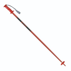 주니어 폴 22 SINANO Pair Pole (Junior) Red